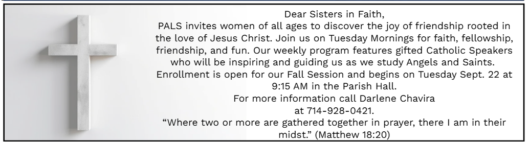 Discover the Joy of Faith and Friendship with PALS this Fall!